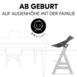 Best Alpha Bouncer Premium Dark Grey Hochstuhl Zubehör|Wippen