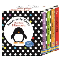 Clearance Babys erste Bilder: Mein kleiner Bilderschatz Kinder Kinderbücher