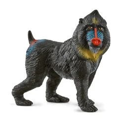 Mandrill Kinder Lernspielzeug