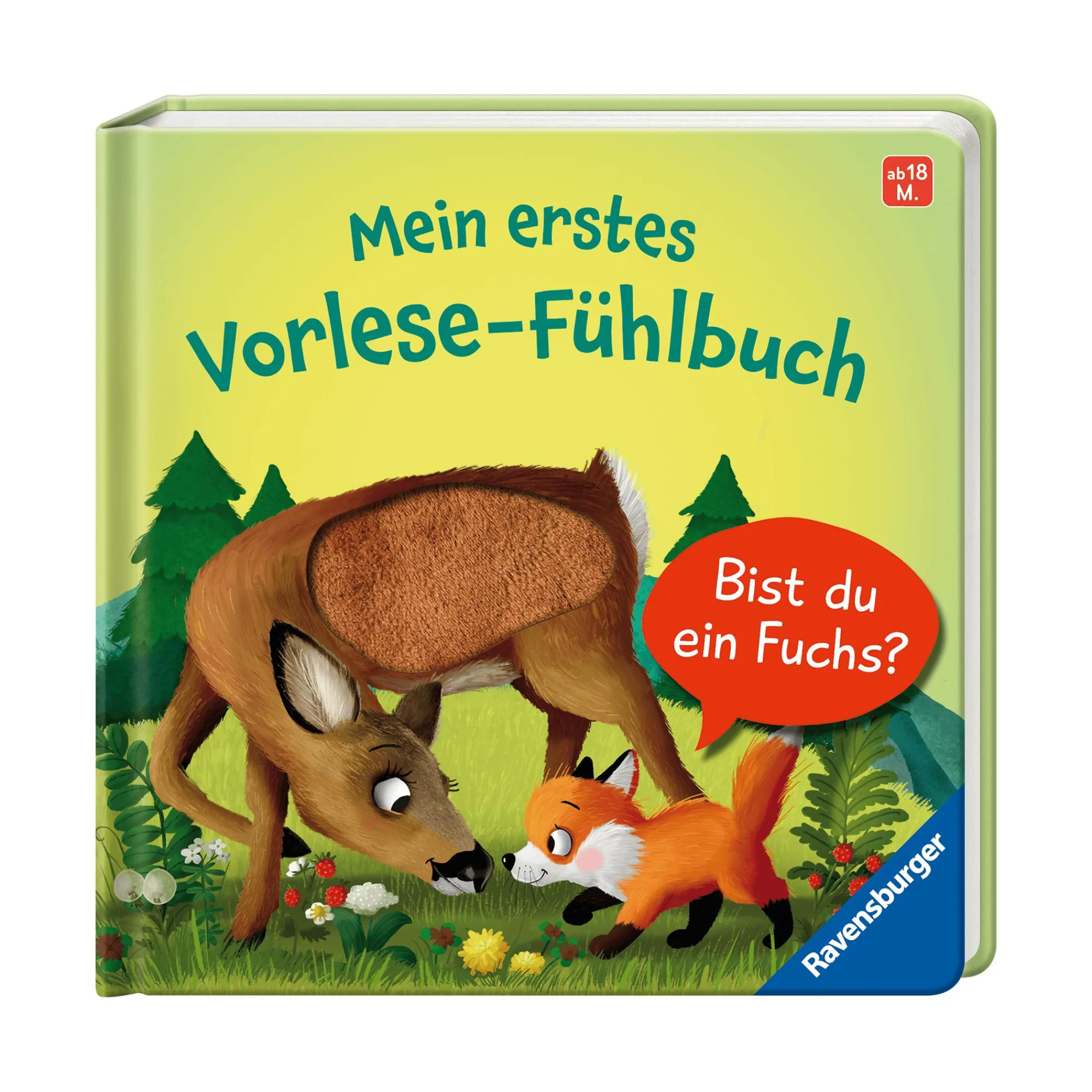 Best Mein erstes Vorlese-Fühlbuch: Bist du ein Fuchs? Kinder Kinderbücher